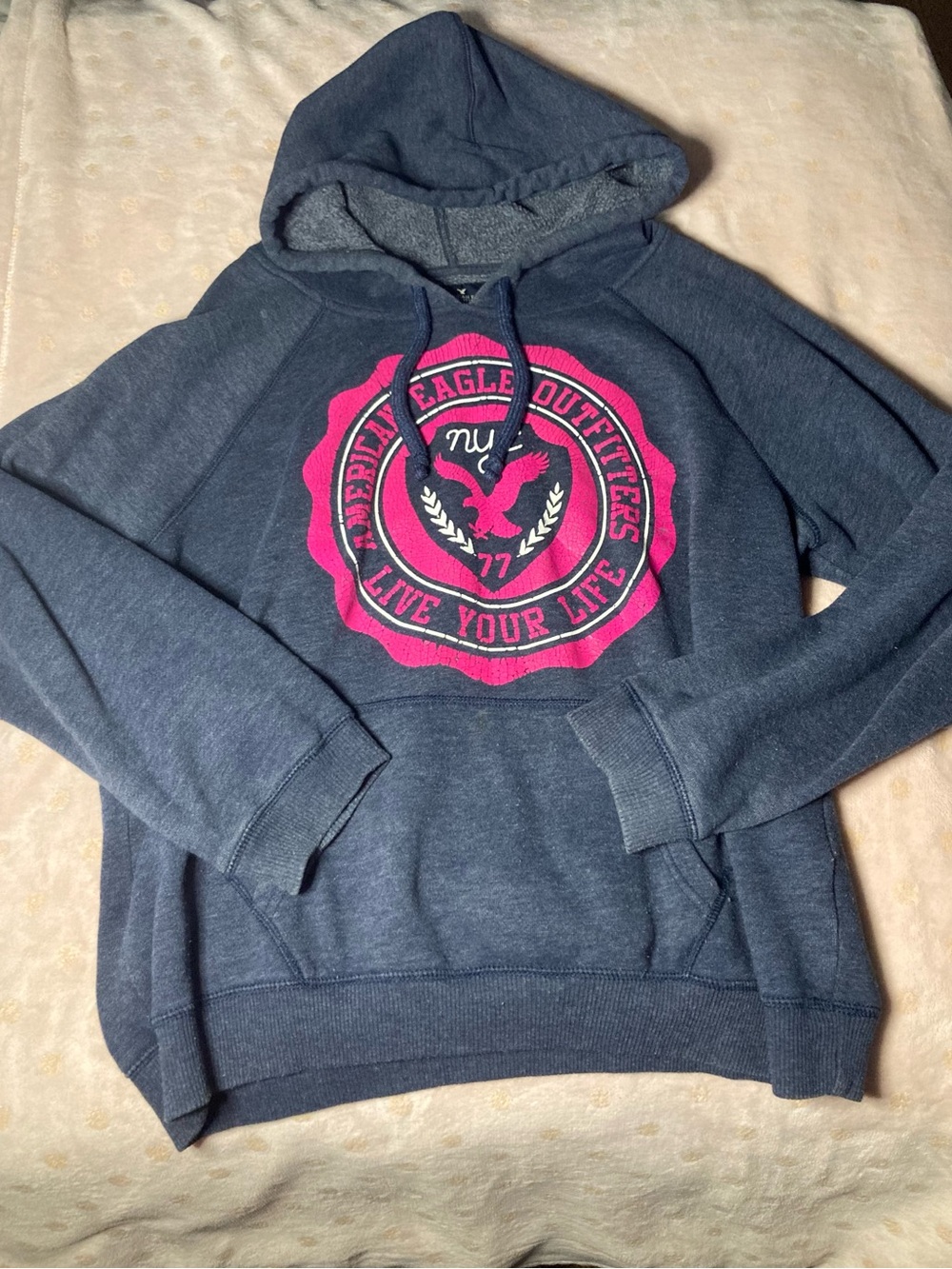 American Eagle Outfitters Navy Pullover Hoodie with Pink Crest